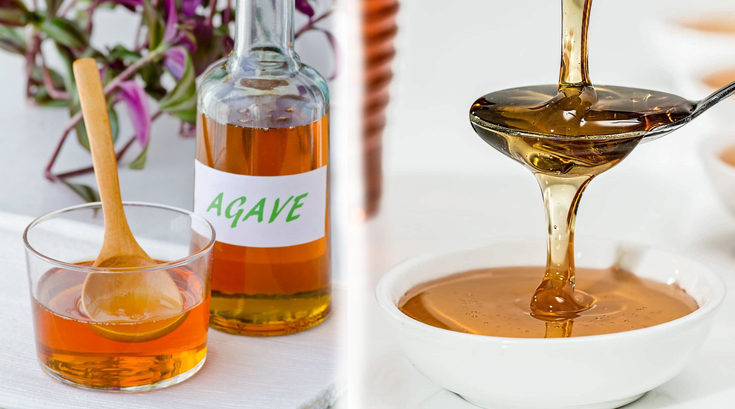 agave honey